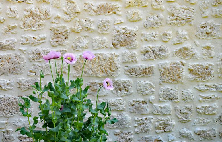 Kaleien buitenmuur met bloemen.